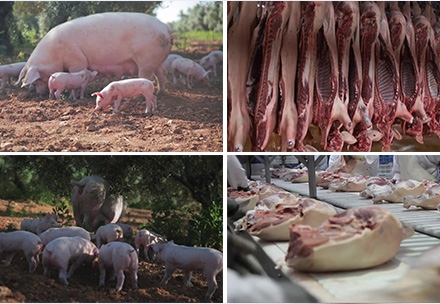 �I(y��ng)�B(y��ng)֪�R(sh��)